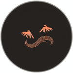 00691-28275452-150x150