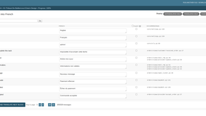 admin.debailliencourt.fr_en_rosetta_files_project_fr_0_