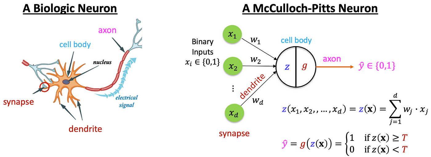 Un neuron artificiel
