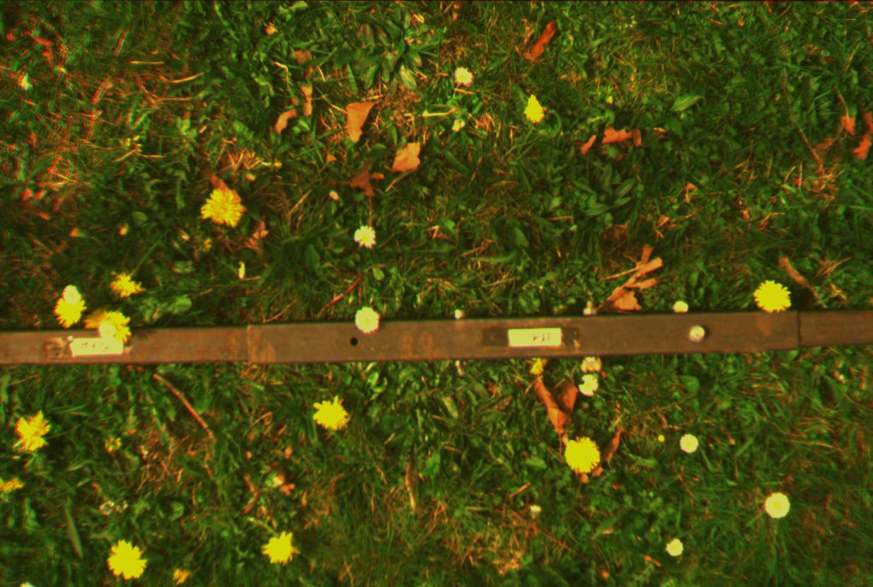 affine_50_false_color