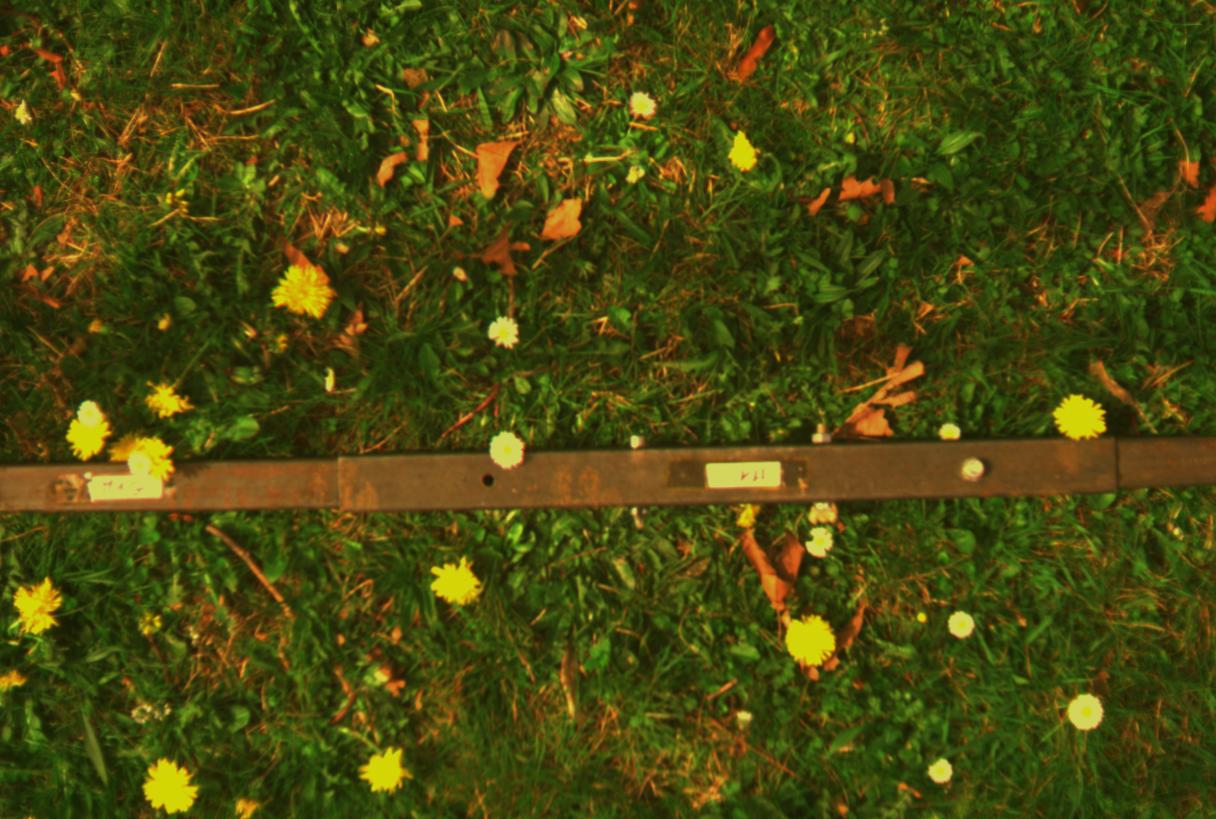 prespective_50_false_color